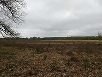 Natuurgebied De Tweelingen
