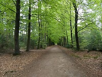 Op weg naar Sleen