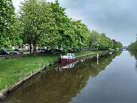 Bloeiende kastanjes langs kanaal in Coevorden