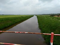 Nieuwe Drostendiep in de Dalerveense hooilanden