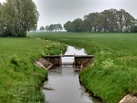 Veel watertjes tussen de weilanden