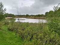 Het Leeuwerikenveld, ontwateringsgebied van Coevorden