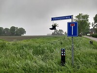 Tweede leven voor een wandelschoen