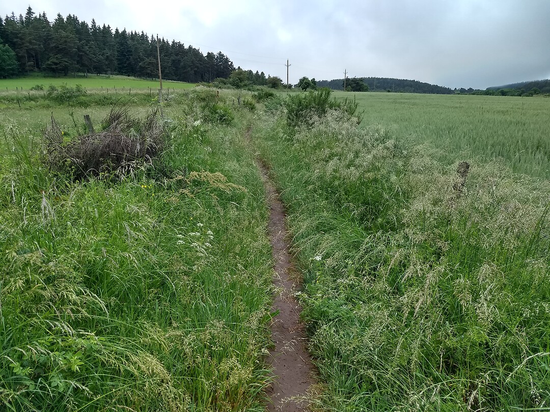 Op weg naar le Bouchet