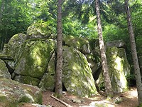 Ron de la Baoume