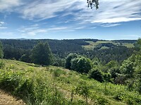 Bosrijk uitzicht