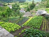 Moestuintje in Mirandol
