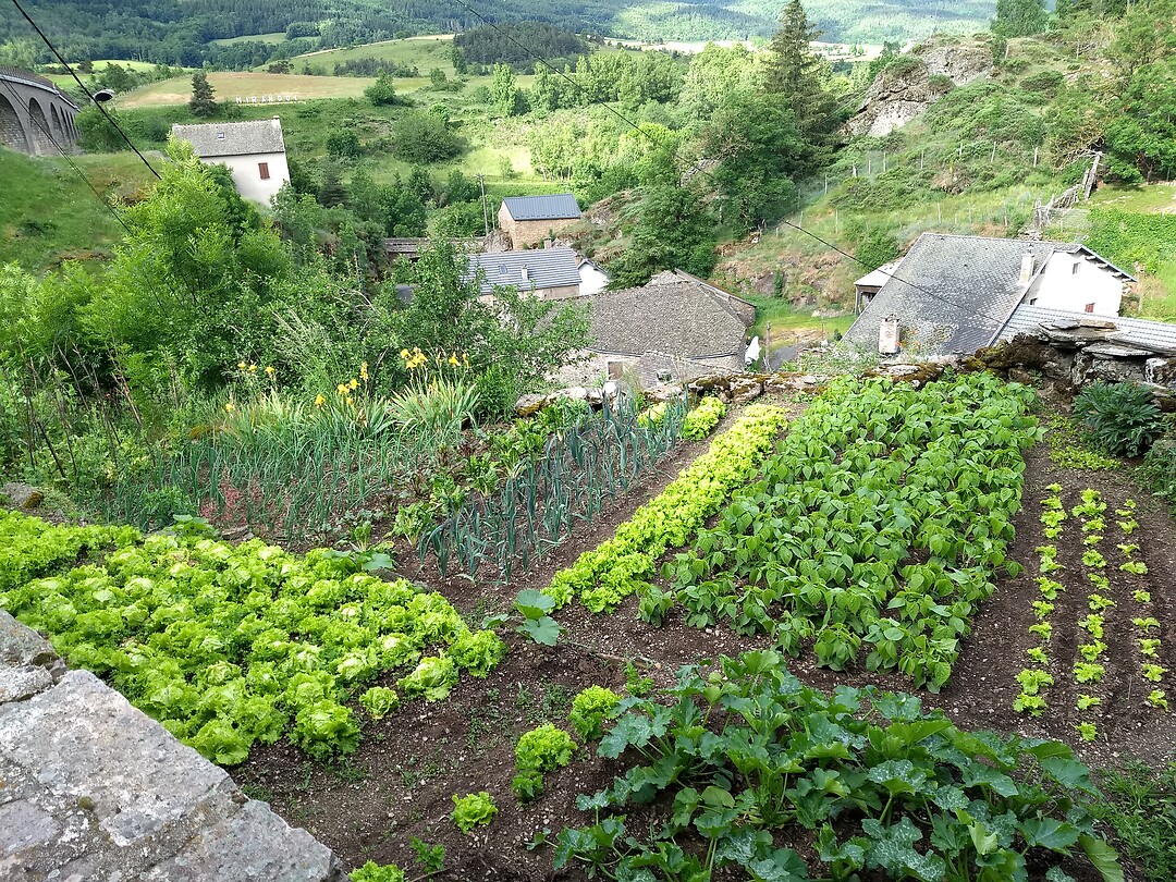 Moestuintje in Mirandol