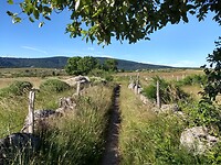 Fijn wandelpad