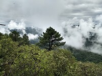 Dampende vallei