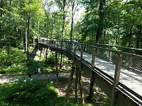 Baumwimpfelpfad bij de Saarschleifen