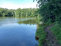 Langs het meer van Losheim