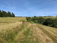 Op weg naar Scheiden