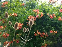 In de Seegarten 2