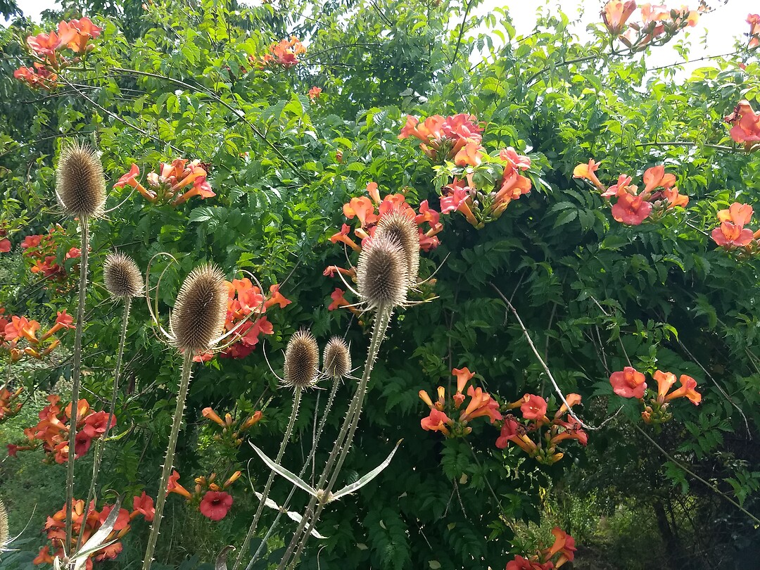 In de Seegarten 2