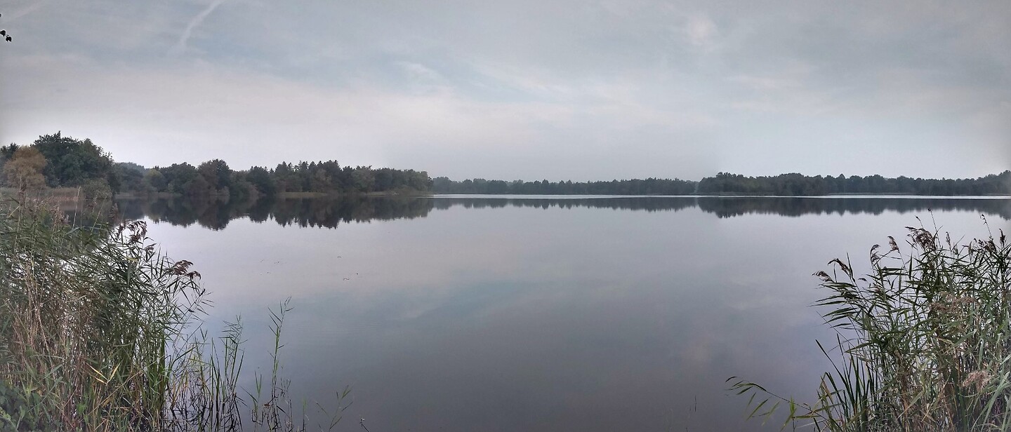 Piccardthofplas