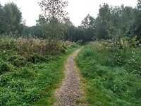 Natuurgebied Piccardthofplas