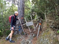 Gammel hekje