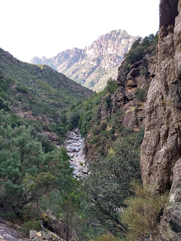 Hoog in de kloof