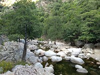 Spelunca