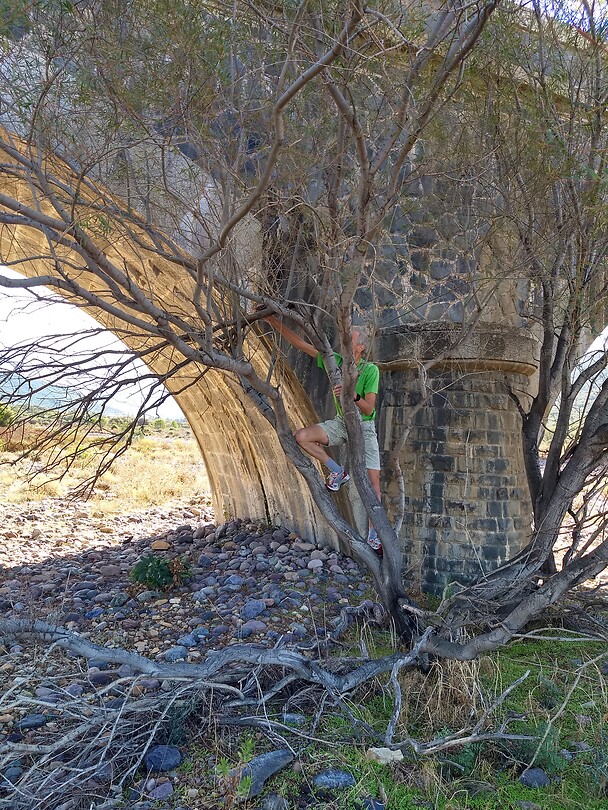 Cache "a bridge to far"