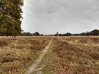Het Grote Zand