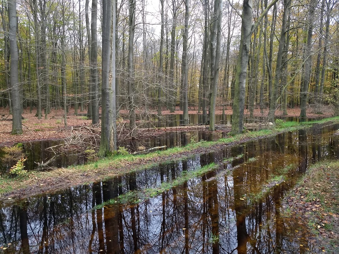 natte paden