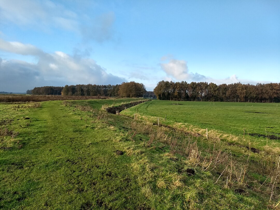 Op weg naar Annen, mooi licht