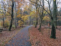 Gieten: prachtige kleuren