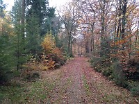 Gieten: herfst wandeling