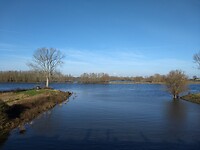 De Maas