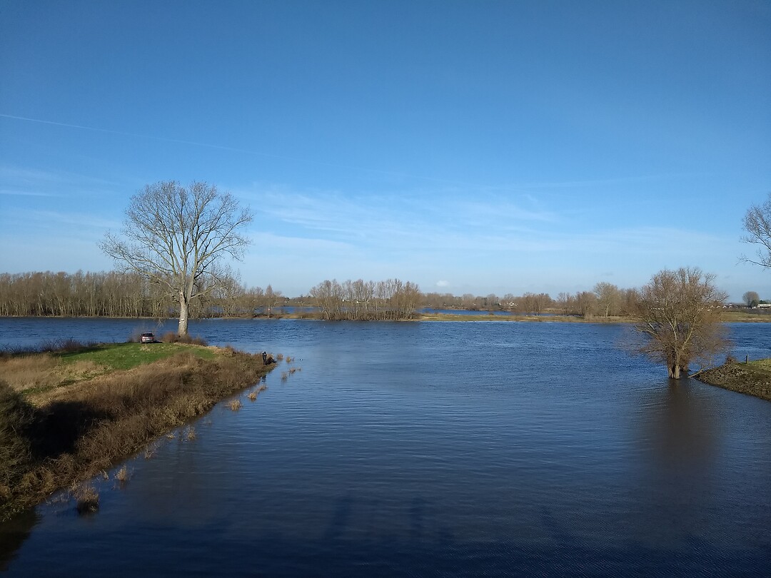 De Maas