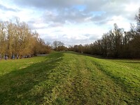 Lange grasrijk langs de Waal naar Zaltbommel