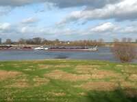 De Waal