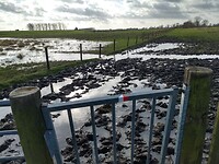 Dwars door de rivierklei