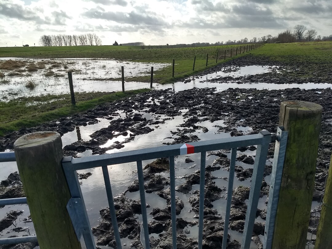 Dwars door de rivierklei