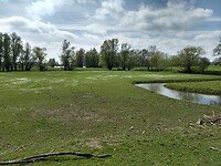 Heeseltsche uiterwaarden 2