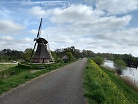 Waalbandijk bij Waardenburg