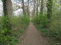 Landgoed Neerijnen