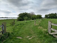 Natuurreservaat Rijntakken (Rijswaard)