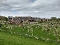 Langs de Waalbandijk