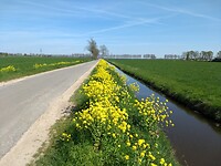 Iets minder leuke weg