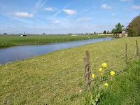 De Linge
