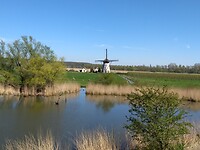Molen de Marson bij de Oude Rijn