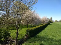 Oud landgoed langs de Nederrijn