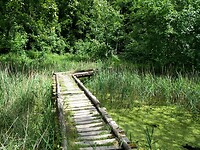 knuppelpad 1