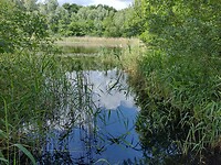 mooie waterpartij