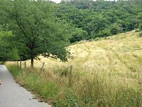 rustige landbouwweggetjes