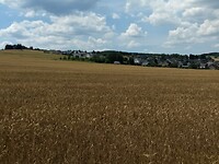 akkerlanden boven St Goar 2