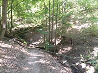 Seelenbach dal 1